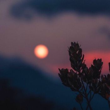 آهنگ  ساسی مانکن نوش